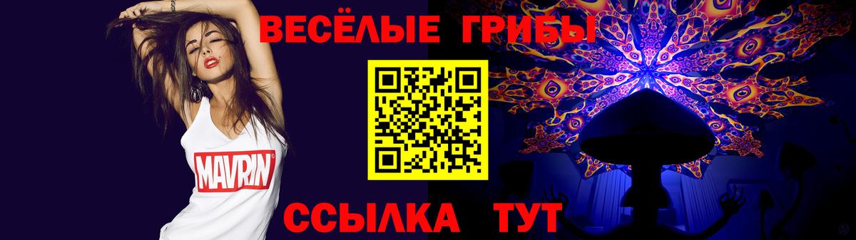 Галлюциногенные грибы Psilocybine cubensis Ирбит
