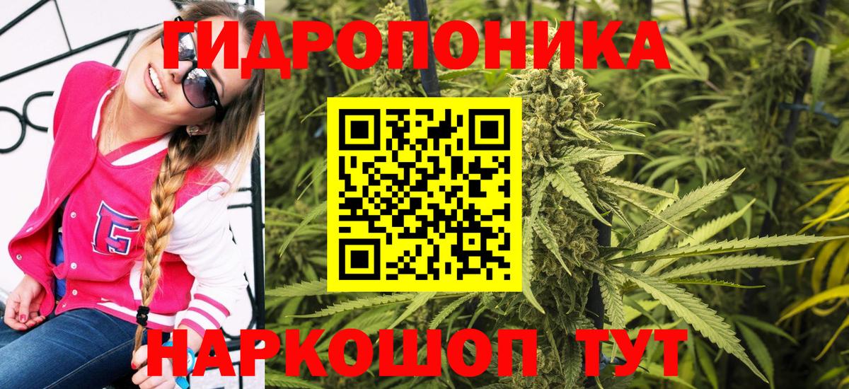 Псилоцибиновые грибы Ирбит